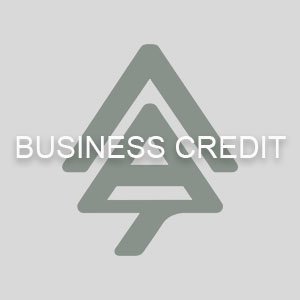 Business Credit