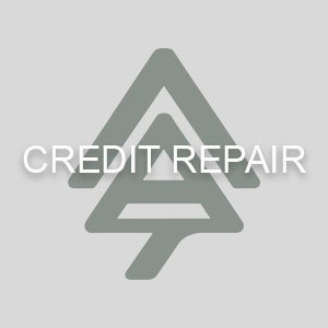 DIY Credit Repair
